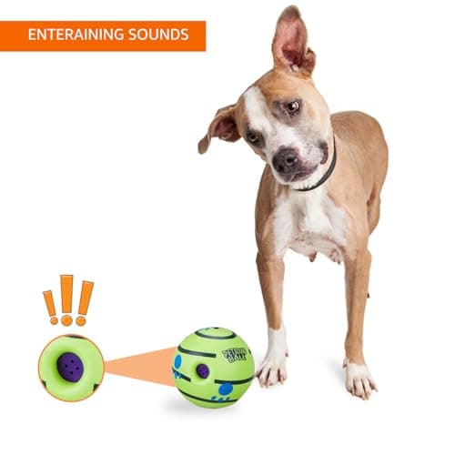 amazon basics Interactive Sound Ball Toy for Dogs and Puppies| Fun Squeaky Sounds | Pet-Safe Materials| Suitable for All Dog Breeds | Size - Large 4