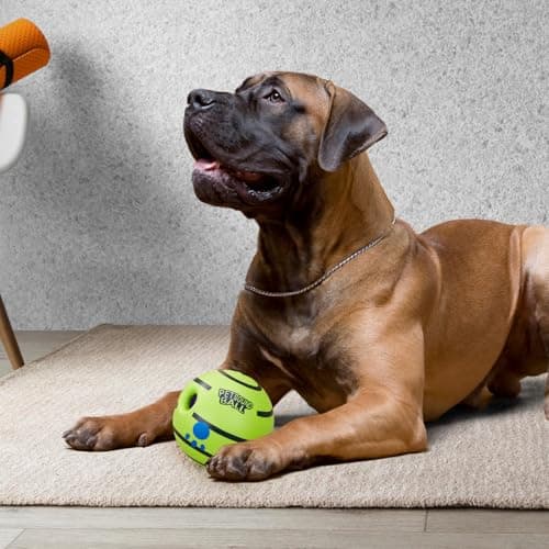 amazon basics Interactive Sound Ball Toy for Dogs and Puppies| Fun Squeaky Sounds | Pet-Safe Materials| Suitable for All Dog Breeds | Size - Large 8