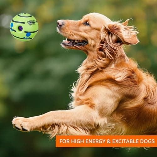 amazon basics Interactive Sound Ball Toy for Dogs and Puppies| Fun Squeaky Sounds | Pet-Safe Materials| Suitable for All Dog Breeds | Size - Large 6